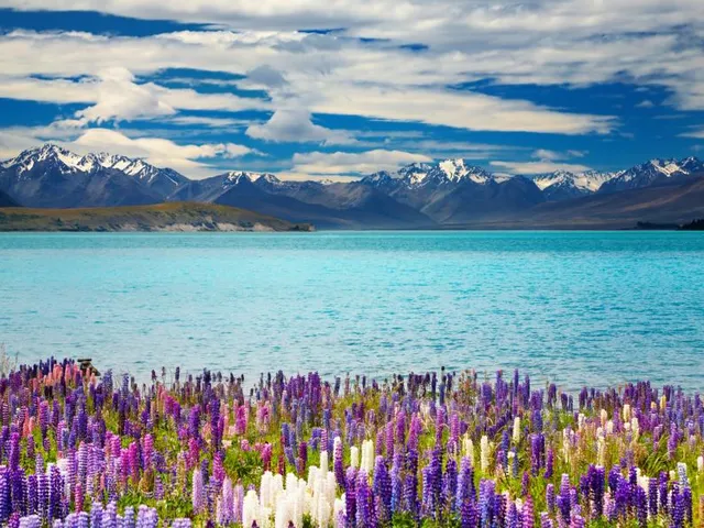Lake Tekapo, Neuseeland Reise