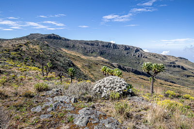 Nationalpark Mount Elgon, Uganda Rundreise