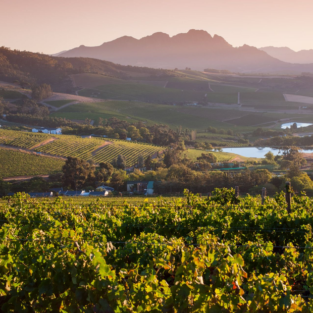  Jordan Wine Estate, Stellenbosch, Rundreise Südafrika