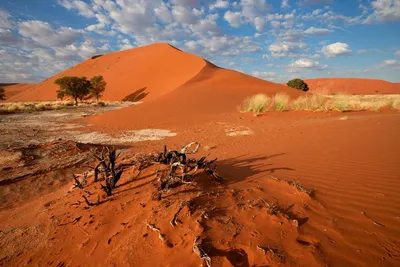 Sossusvlei, Namibia Rundreise, Flugsafari