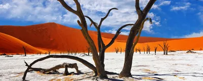 Dead Vlei im Namib Naukluft Park, Namibia Rundreise