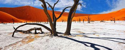 Dead Vlei im Namib Naukluft Park, Namibia Rundreise