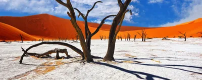 Dead Vlei im Namib Naukluft Park, Namibia Rundreise