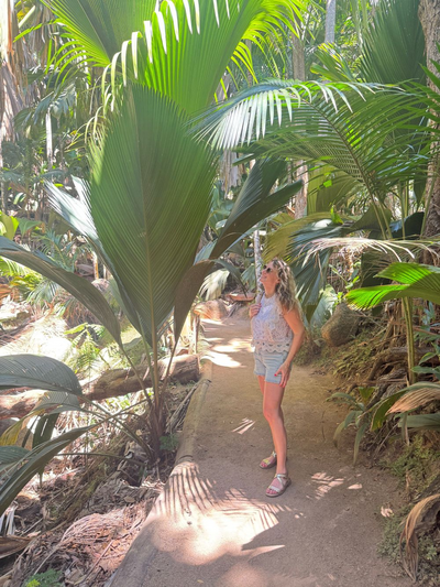 Vallée de Mai, Praslin, Seychellen
