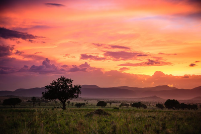 Sonnenuntergang, Kidepo Valley National Park, Uganda Reise, Natur