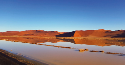 Regen in der Namibwüste, Namibia Reisen