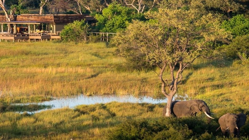 Blick zum Vumbura Plains Camp, Botswana Reise 