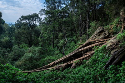 Eingang zur Kitum Höhle, Mount Elgon, Uganda Rundreise